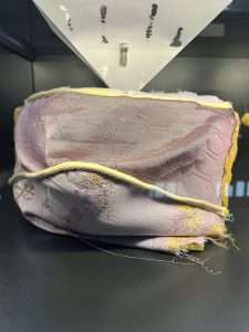 voorbeeld van bedwantsen in een matras in het micropia museum