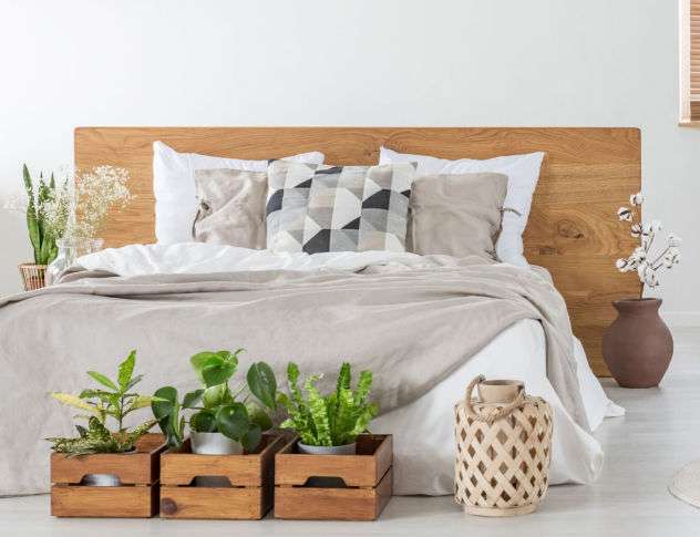 planten in slaapkamer