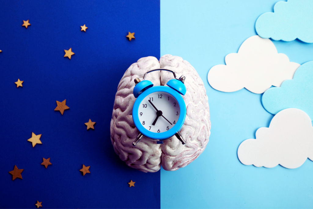How do you know if you are a morning person or an evening person